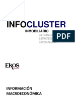 1 INFOCLUSTER - Economista Fausto Maldonado