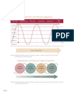 Imagen e Infografía Organización Curricular (Actualizada)