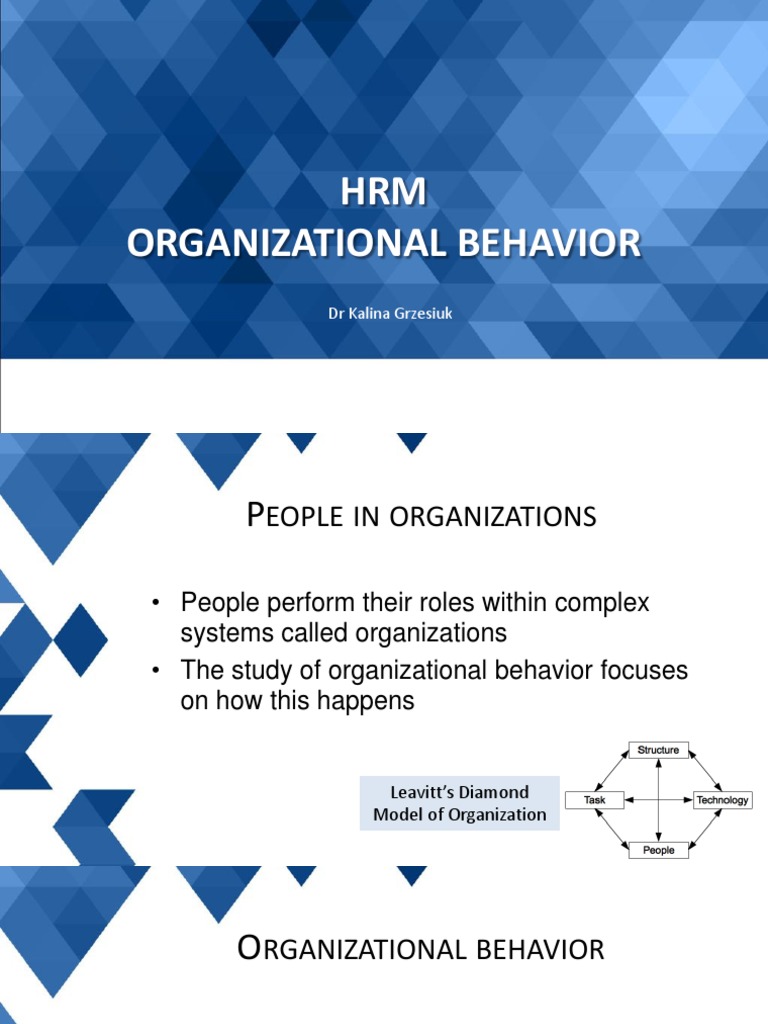 Understanding Organizational Behavior | PDF | Job Satisfaction ...