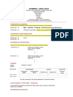 MODELO CV Castellano