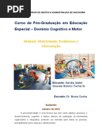 Trabalho Individual - Psicomotricidade