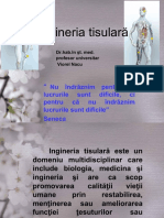 Inginerie Tisulara ROM