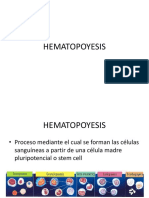 6 Hematopoyesis