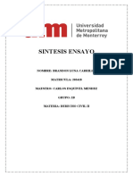 Derecho Civil Ensayo Sintesis