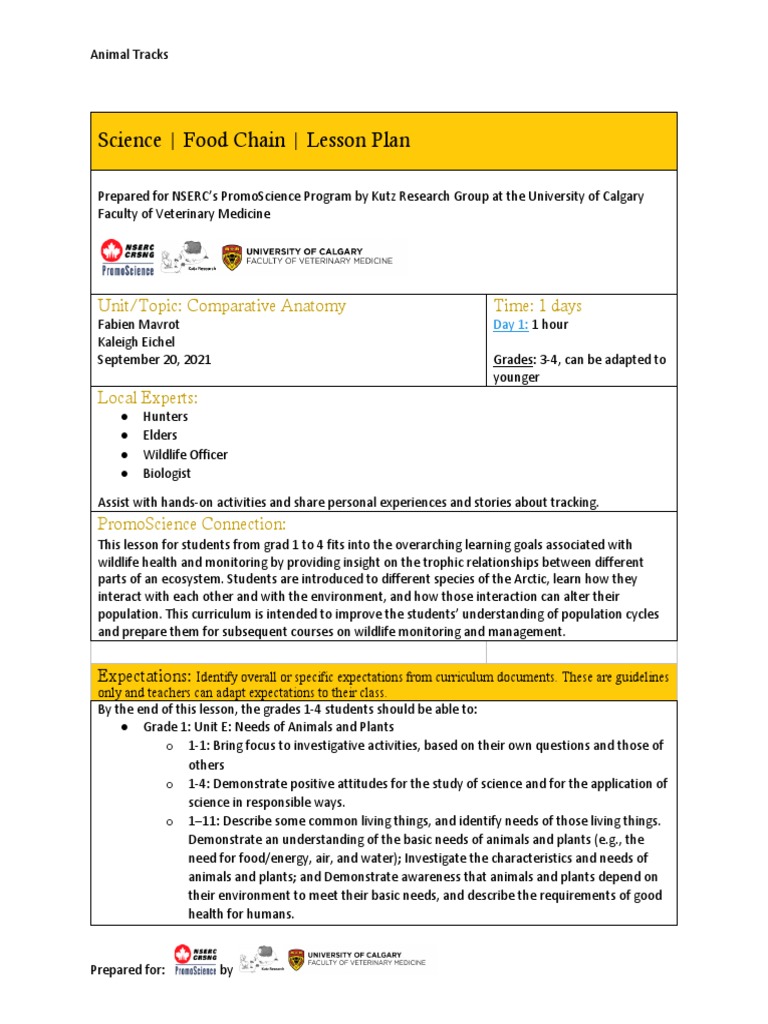 Food Chain Lesson Plan Biology Diagrams