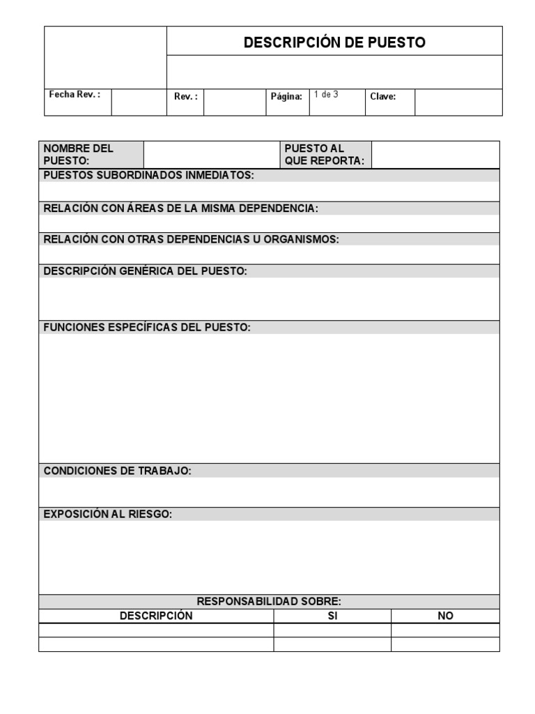 Descripción y Perfil de Puesto Detallado | PDF