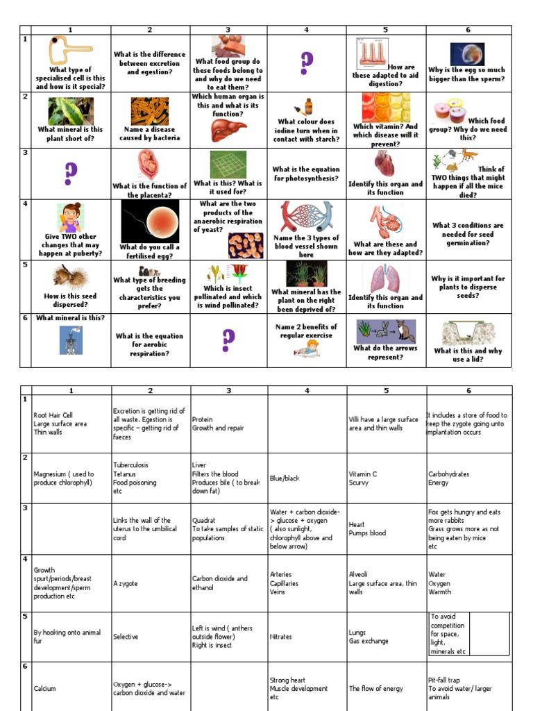 Biology Grid Y8 Revision PDF Chemistry