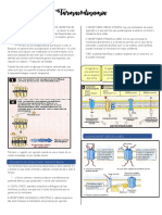 2 - Farmacodinamia