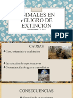 Animales en Peligro de Extincion