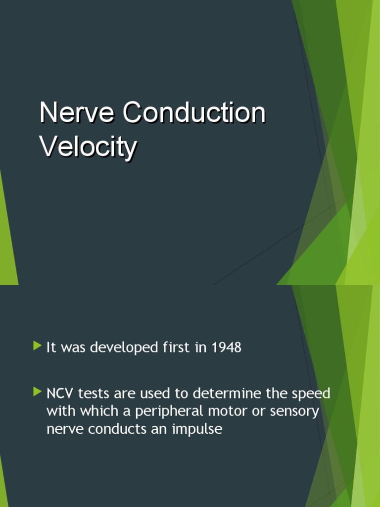 Nerve Conduction Velocity Overview | PDF | Neuroanatomy | Neuroscience