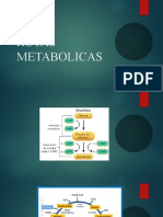 Rutas Metabolicas