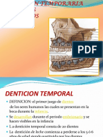 Denticion Temporaria La Presentación
