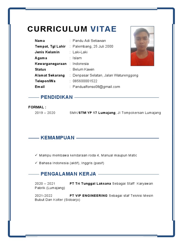 Contoh CV-01 | PDF