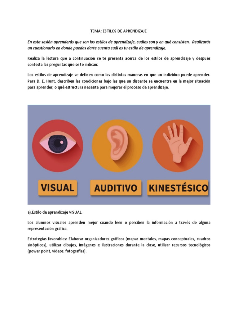 Estilos de Aprendizaje: Visual, Auditivo y Kinestésico | PDF ...