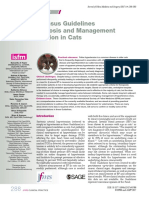 ISFM Consensus Guidelines On The Diagnosis and Management of Hypertension in Cats