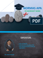 Normas Apa