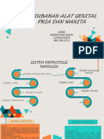 Wirdatun Nisya (Perubahan Alat Gnital P Dan W)