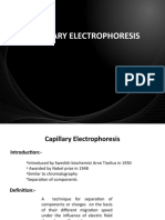 Capilary Electrophoresis by Amna