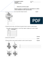 Fisa de Autoevaluare Nituirea