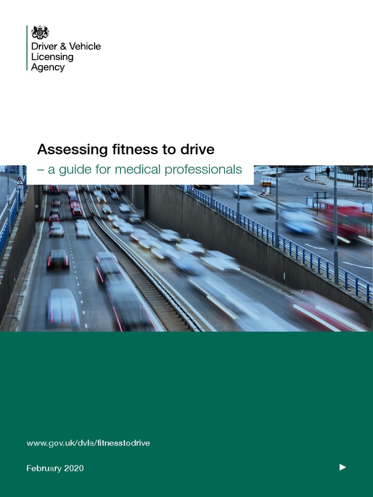 Assessing Fitness To Drive A Guide For Medical Professionals PDF