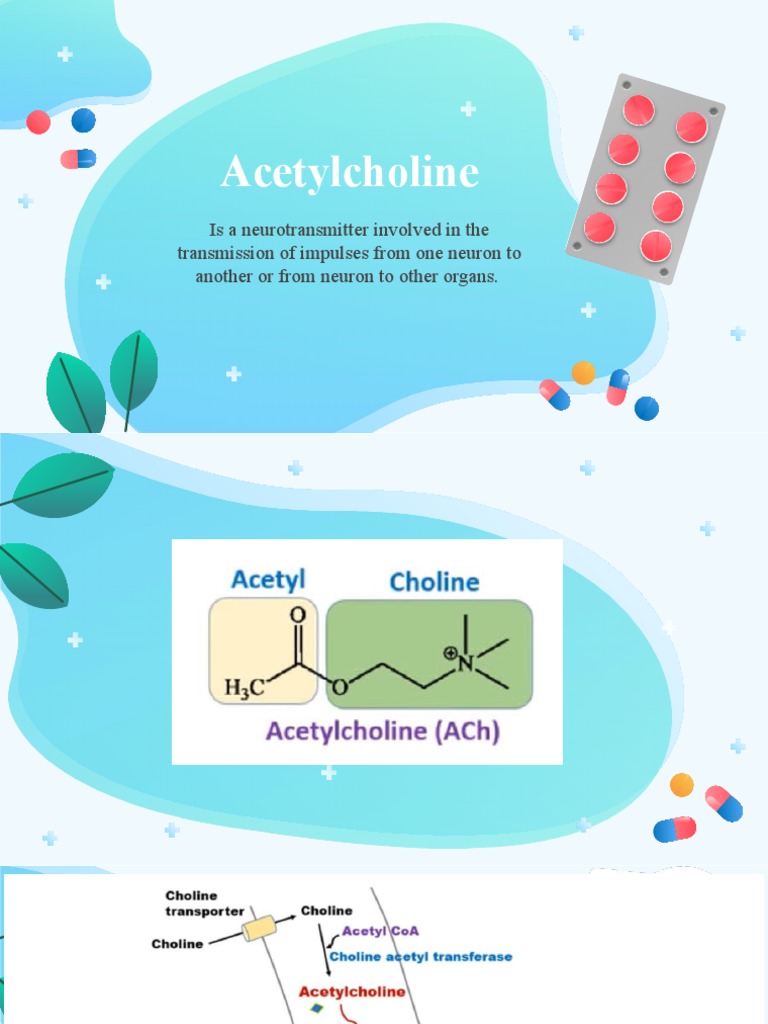 Biosynthesis of Acetylcholine PDF