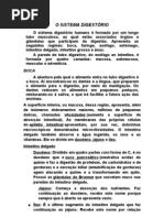 O SISTEMA DIGESTÓRIO
