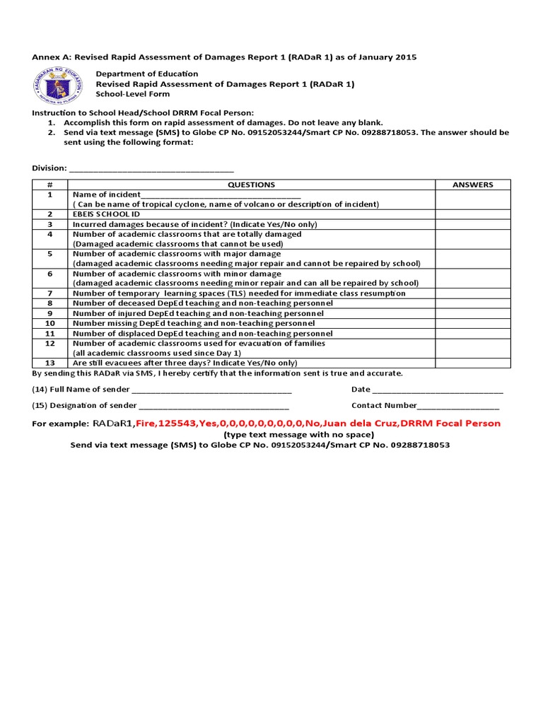 RADaR Damage Assessment Template | PDF | Career & Growth