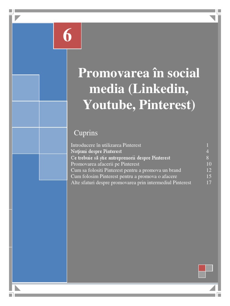 Promovarea În Social Media (Linkedin | PDF