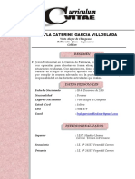 Curriculum Vitae Leyla Caterine