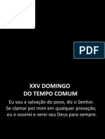 XXV Domingo Do Tempo Comum - ANO 2015