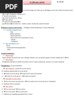 Classification FIGO Des Fibromes Utérins - Embolisation Fibrome Utérin ...