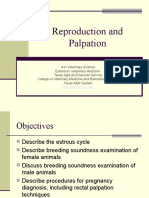Veterinary Reproduction & Pregnancy Diagnosis Techniques