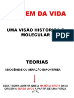 11022022085723aula Origem Da Vida 1