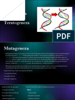 Mutageneza Si Teratogeneza