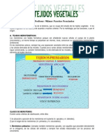 histologia_vegetal_2010