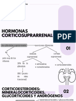 Corticosuprarrenales