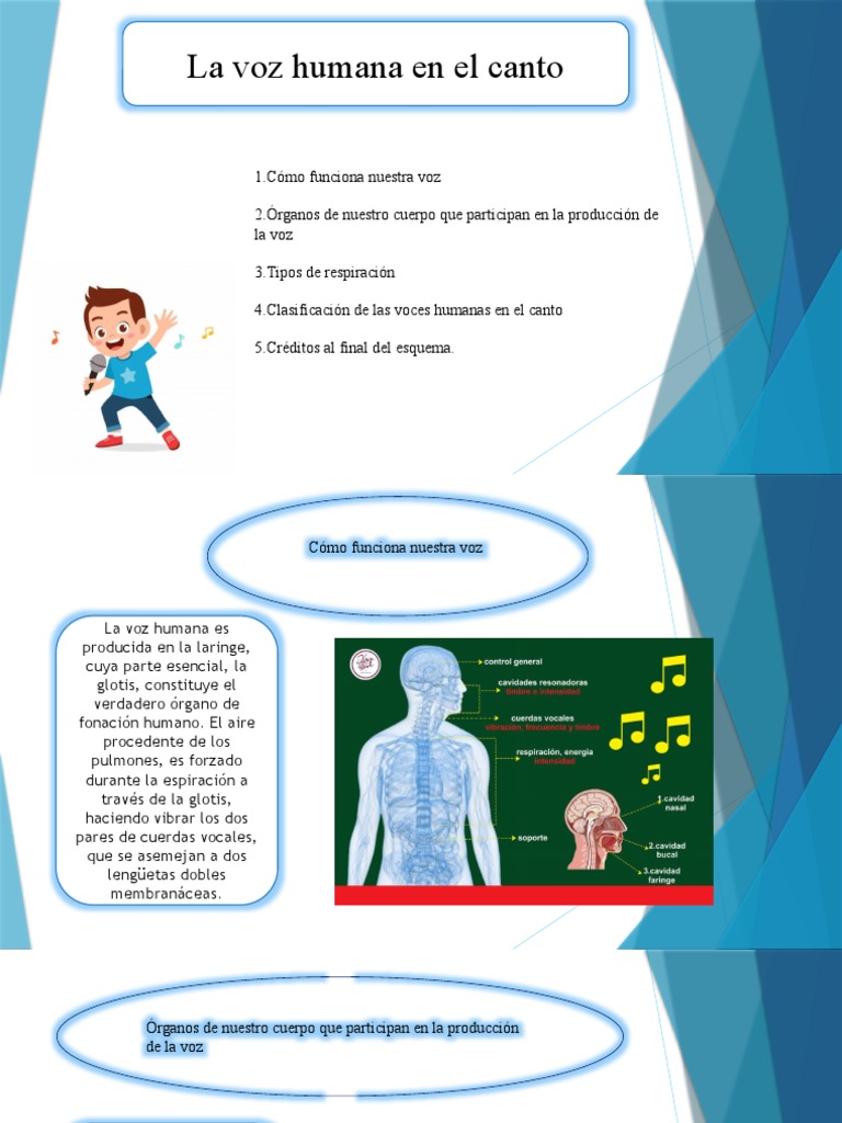 Funcionamiento y clasificación de la voz humana | PDF