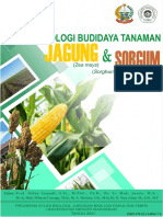 Buku Budidaya Jagung - Sorgum Balitsereal 2021