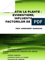 Respiratia La Plante