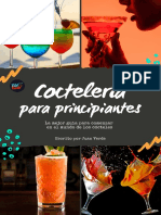 Coctelería para Principiantes Ebook