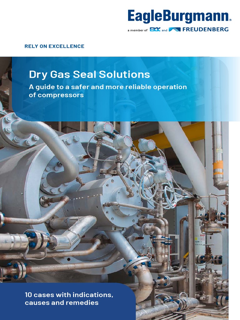 EagleBurgmann Booklet DGS Solutions 10-Cases 22-06 | PDF | Gases ...