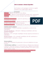 Generalidade de Anatomia e Sistema Esquelético