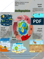 Infografia Ciclos