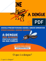 O que é a dengue? Sintomas, causas e prevenção