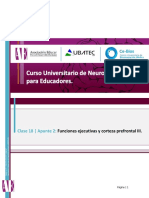 36 Apunte - 2 - Funciones - Ejecutivas - y - CPF - III