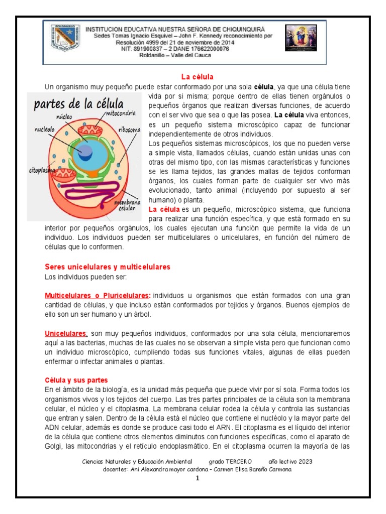 Estructura y Función de la Célula | PDF | Citoplasma | Biología Celular)