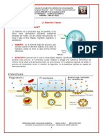 La nutrición celular: procesos de ingestión y digestión