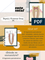 Ligamento periodontal: estructura, función y desarrollo