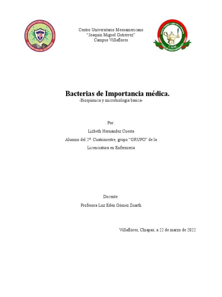 Bacterias de Importancia Médica. PDF