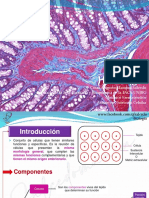 6ta Semana Biología CEPU INVIERNO II 2023